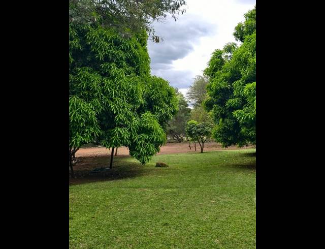 FARM FOR SALE IN THABAZIMBI